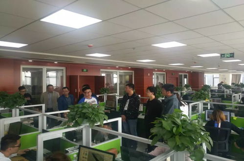 實(shí)時(shí)掌握項(xiàng)目脈搏 軟件外包服務(wù)的動態(tài)跟蹤與管理